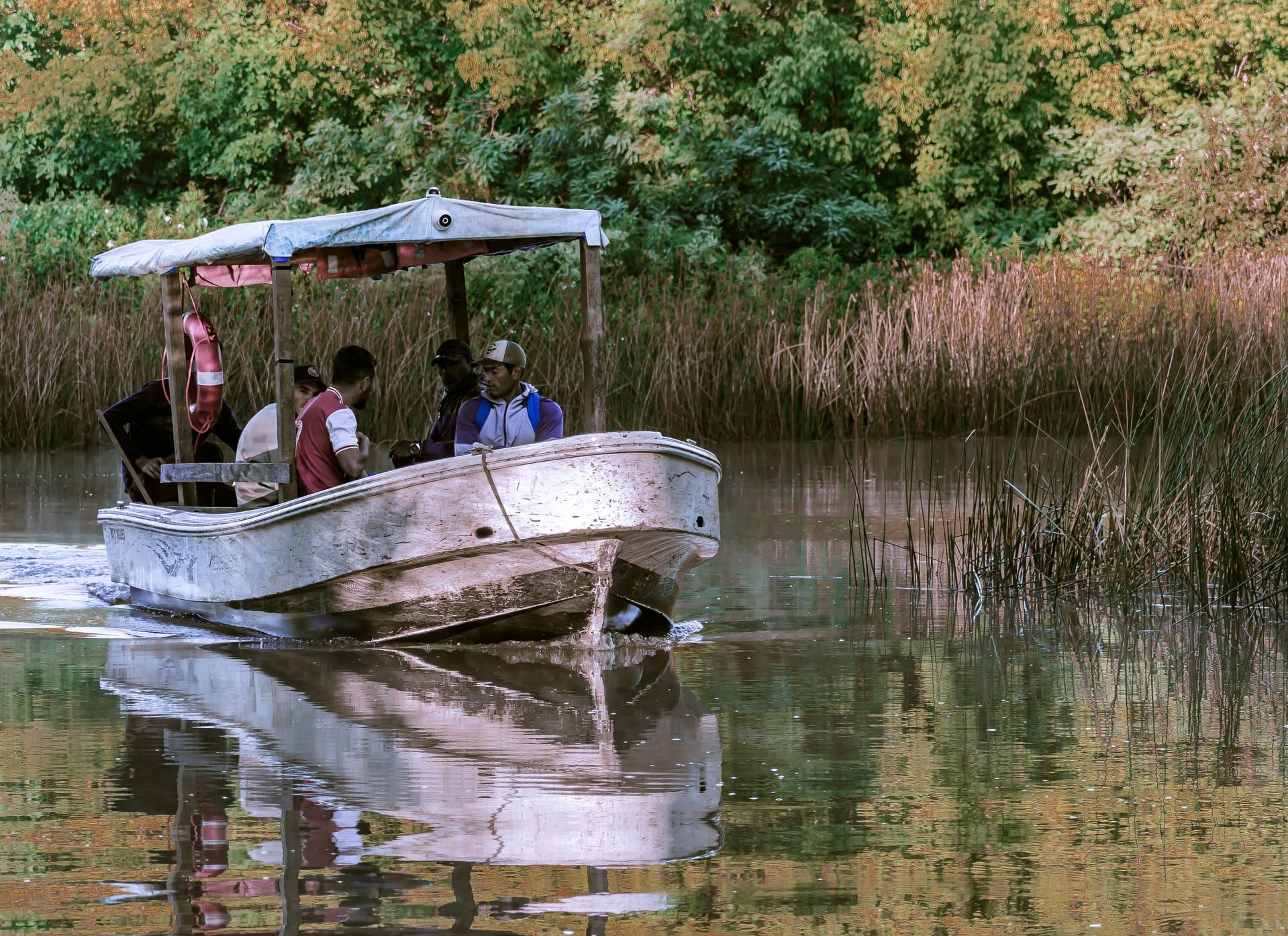 Propuesta 6